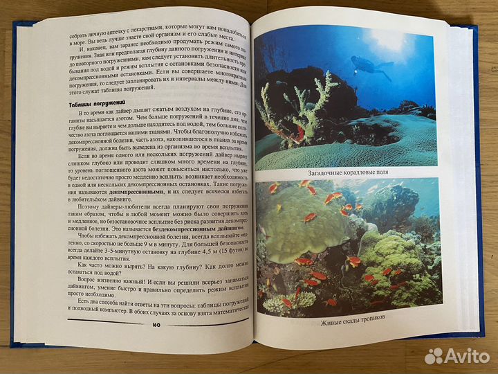 Книга В. Головко Удивительный мир дайвинга