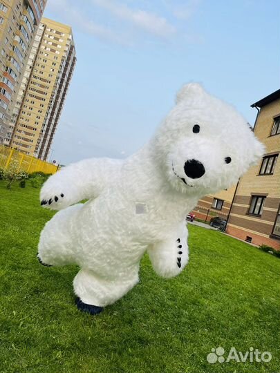 Большой Мишка 3 метра Поздравление