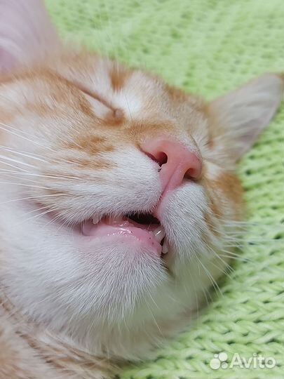 Свитер для Святослава