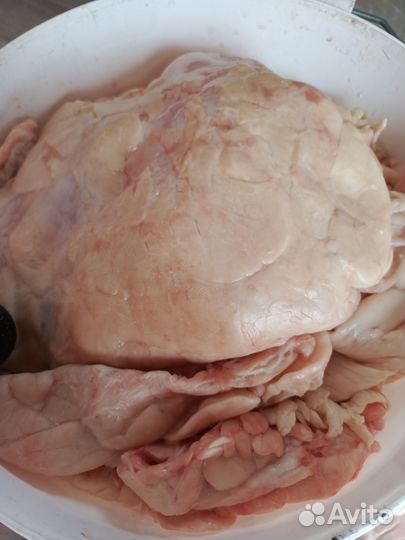 Жир говяжий