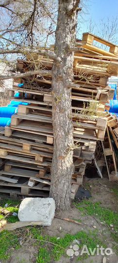 Поддоны на дрова