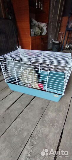 Клетка большая 68*45