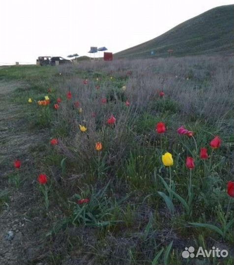 Экскурсия на Баскунчак