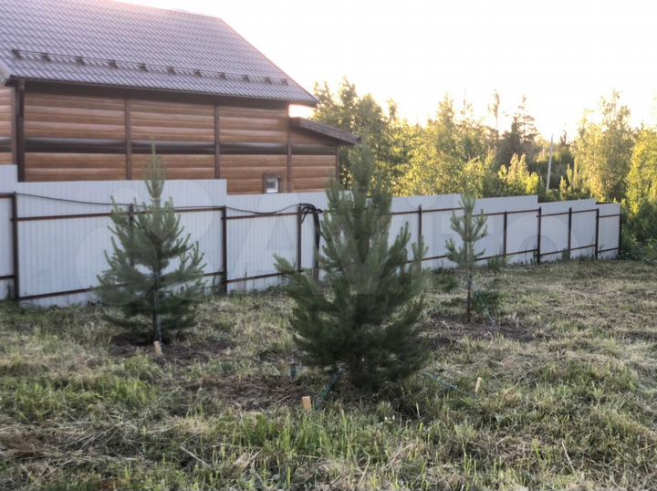 Участок 16,5 сот. (СНТ, ДНП)