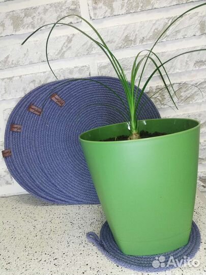 Персонники