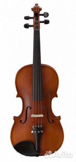 Скрипка студенческая