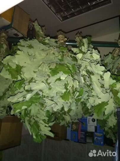 Веники дубовые