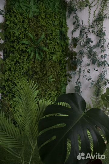 Аренда фотостудии