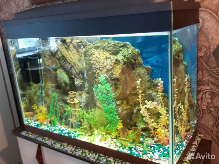 Аквариум 280л