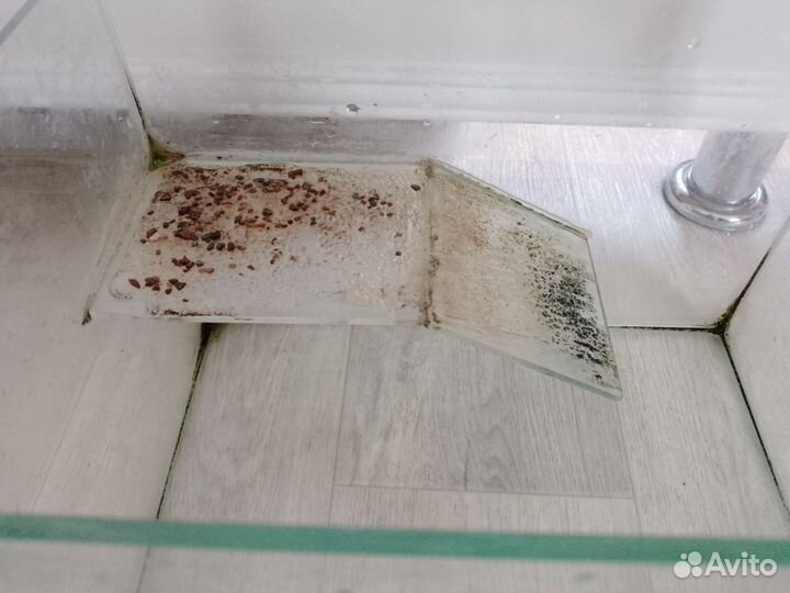 Аквариум для черепахи