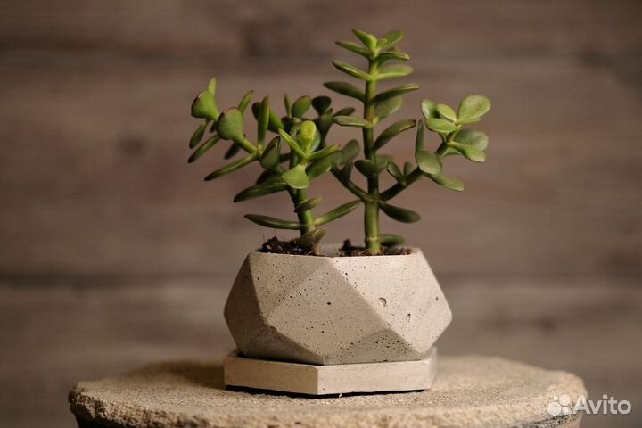 Силиконовые формы для гипса, бетона