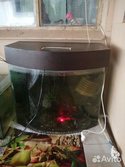 Аквариум