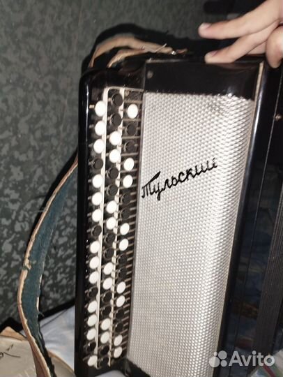 Баян тульский терка