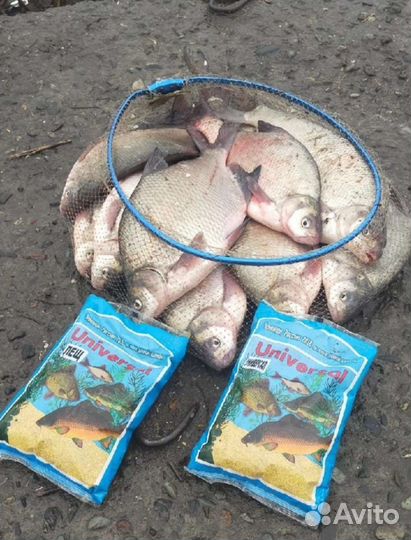 Прикормка для рыбалки
