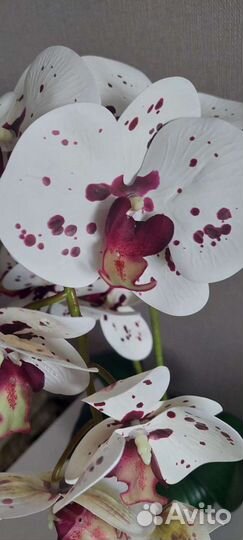 Орхидея искусственная