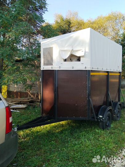 Бюджетная перевозка лошадей крс, мрс и снегоходов