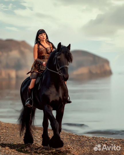 Фотосессии с лошадьми Москва