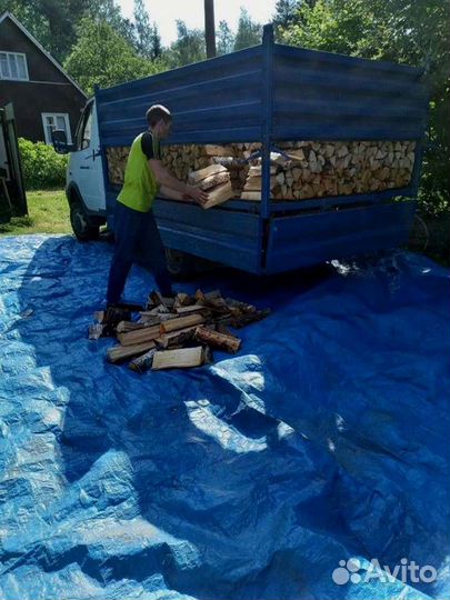 Дрова колотые березовые