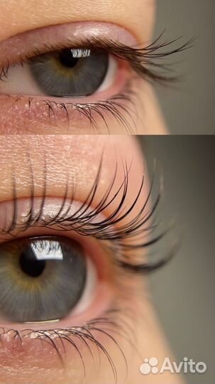 Ламимейкер, Бровист