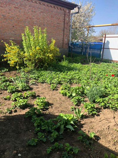 Дом 97 м² на участке 23 сот.