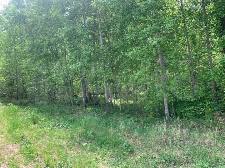 Участок 8 сот. (ИЖС)