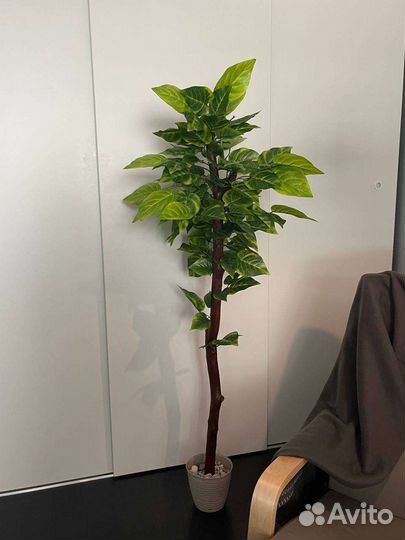 Искусственное дерево