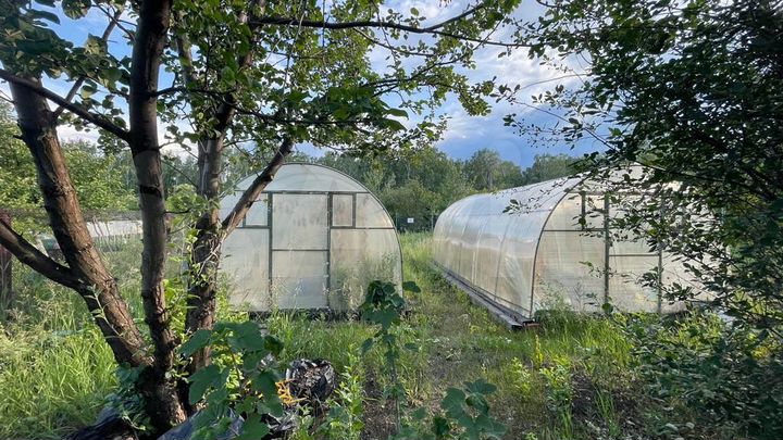 Дача 72,4 м² на участке 12 сот.