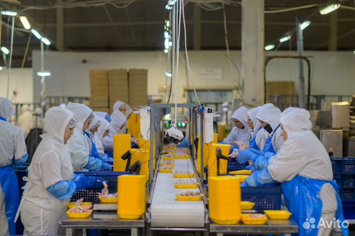 Ищем работников на птицефабрику