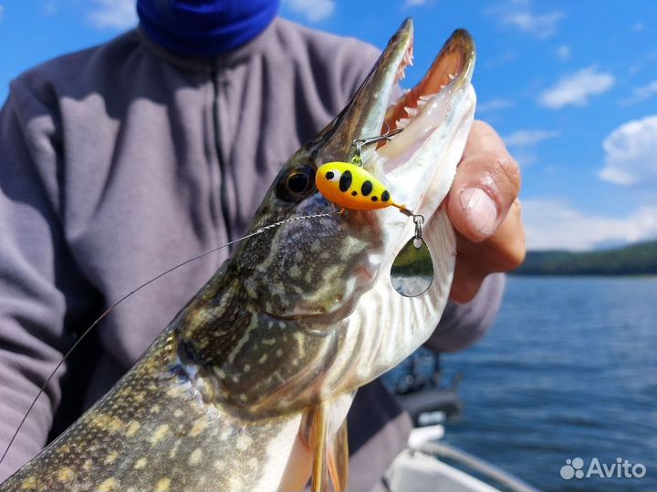 Рыбалка с Гидом под ключ