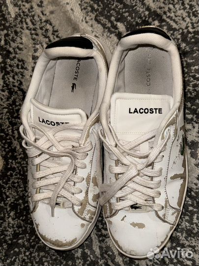 Кеды lacoste 40 размер
