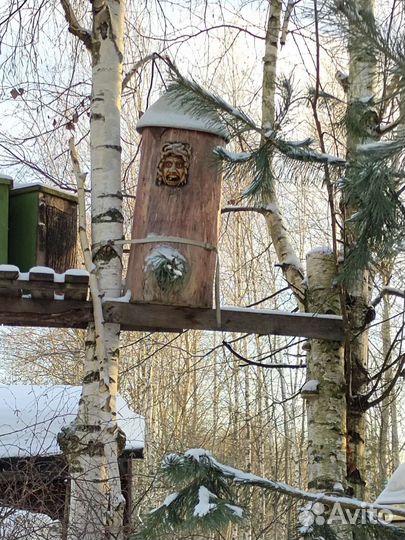 Колода для пчел