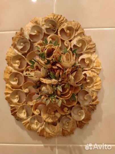 Ракушечник