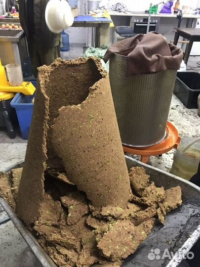 Яблочный жмых после отжима сока