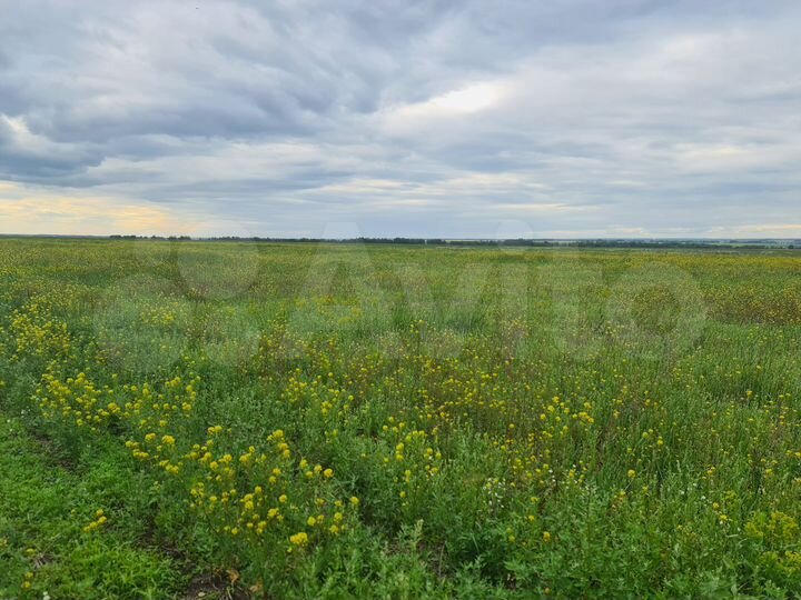 Участок 2,7 га (СНТ, ДНП)