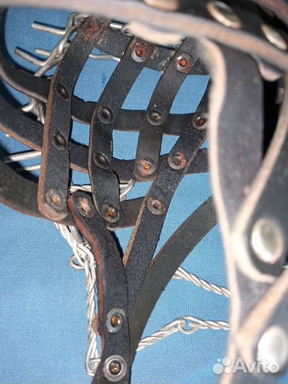 Амуниция для собак