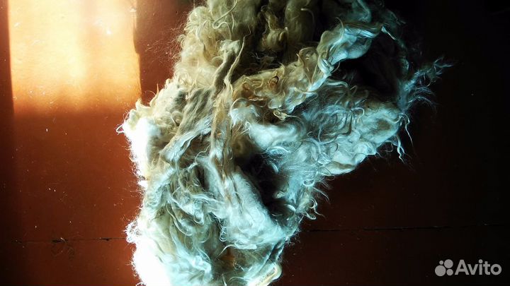 Козий пух, пух ангорской козы, длинный