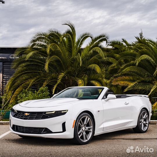 Аренда, прокат кабриолета Chevrolet Camaro Белый