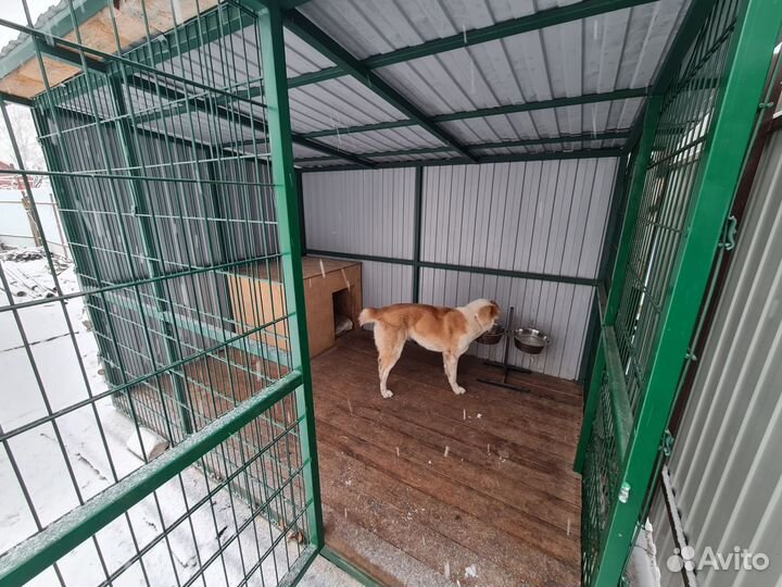 Вольер для собак 2*3м