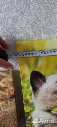 Картина печать на холсте