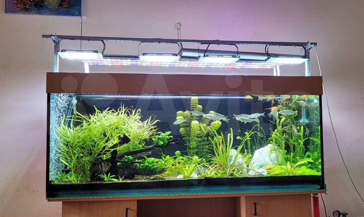 Дом 92 м² на участке 11 сот.