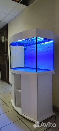 Аквариум 200 свет биофильтр фон подставка