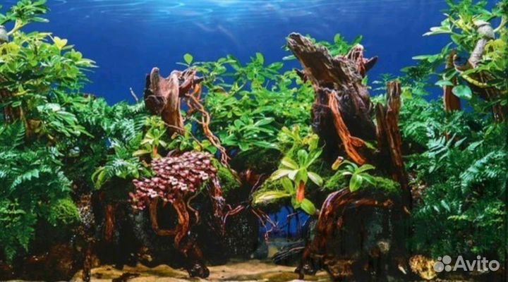 Фон для аквариума новый