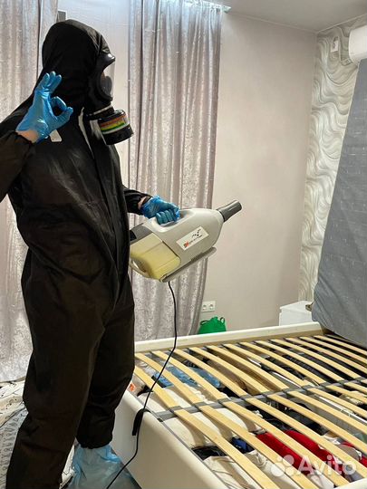 Травля клопов, таракановДезисекция