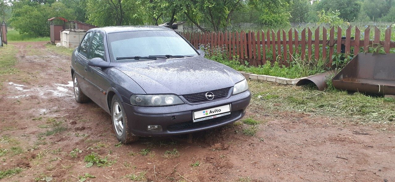 Opel Vectra: фото владельца