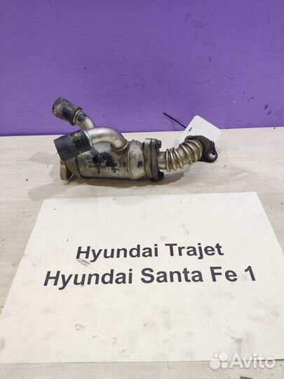 Радиатор EGR (охладитель) D4EA 2.0 Hyundai Trajet