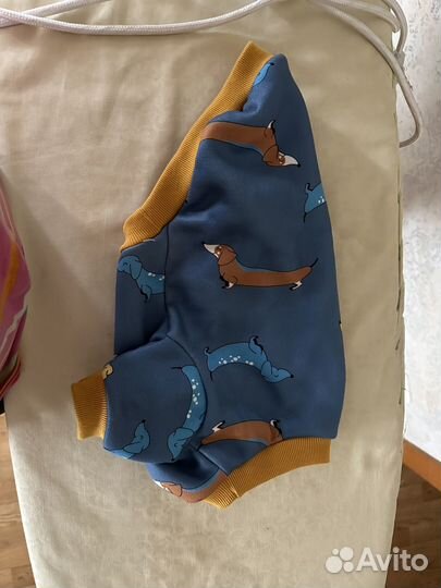 Одежда для средних собак