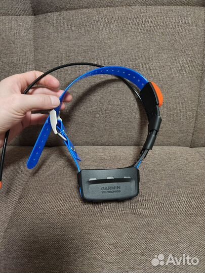 Новый ошейник Garmin T5 (Русская версия, лай)
