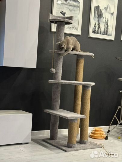 Когтеточка домик для кошки