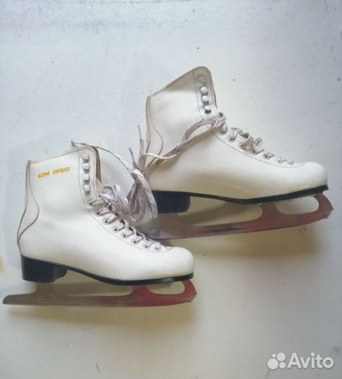 Коньки фигурные Alpha Caprice