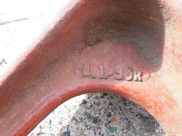 Лапа сапожная